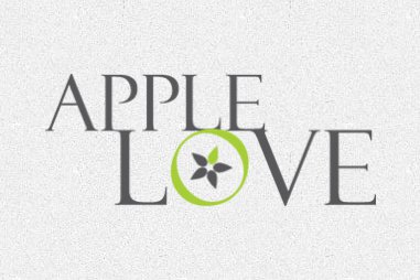 Создание сайта www.apple-love.cz