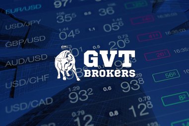 Разработка и продвижение сайта www.gvtbrokers.com